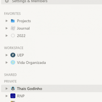 OrganizaÃ§Ã£o do Notion – Julho 2022